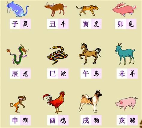 馬生肖|【十二生肖年份】12生肖年齡對照表、今年生肖 